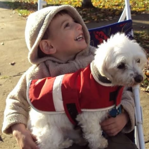 PLSreadBEFOREbuying! - Picture 15 of 16